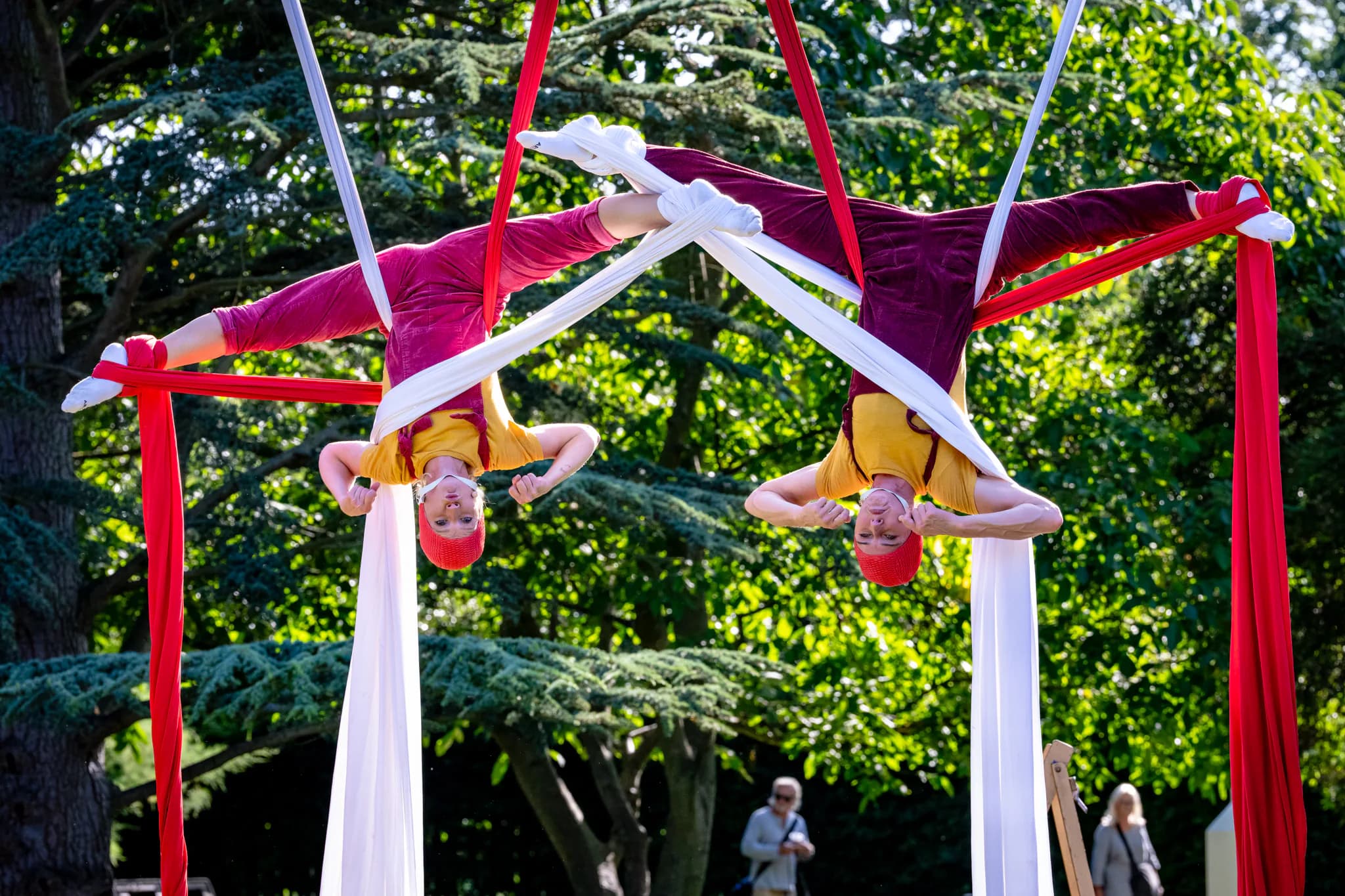 Alice's Adventures in Aerialand at Dulwich Picture Gallery (outdoor space) — production hero photograph