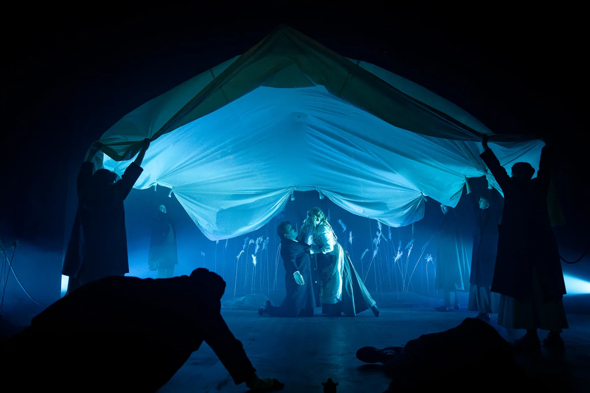 The Taxidermist's Daughter at Greenwich Theatre — production hero photograph